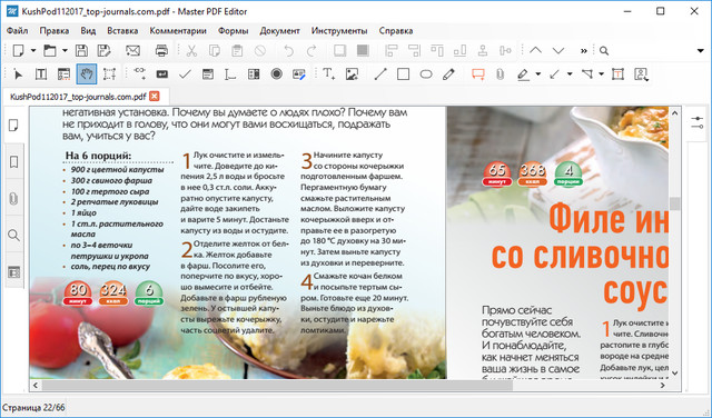 Master PDF Editor 4.3.82