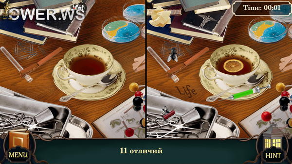 скриншот игры Mystery Hotel