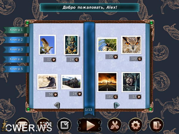 скриншот игры 1001 пазл. Черный ворон