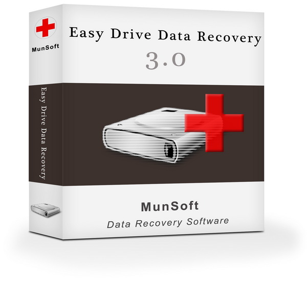 Munsoft Easy Word Recovery