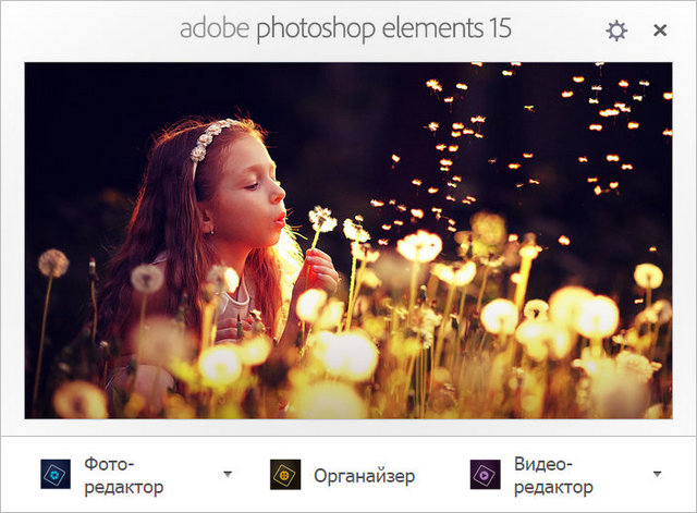 Adobe Photoshop Elements 15