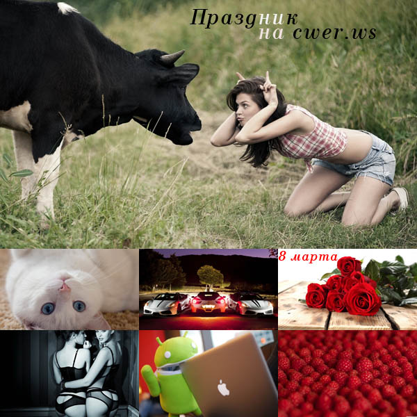 New Mixed HD Wallpapers Pack 162