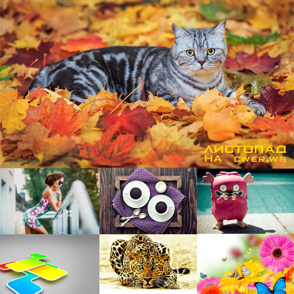 New Mixed HD Wallpapers Pack 209