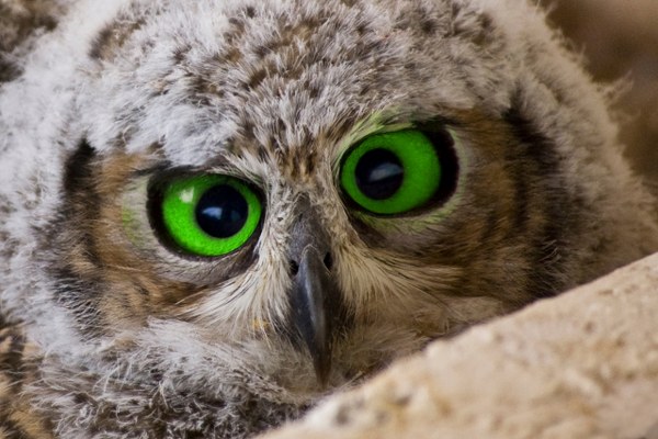 New Mixed HD Wallpapers Pack 210