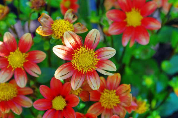 New Mixed HD Wallpapers Pack 220