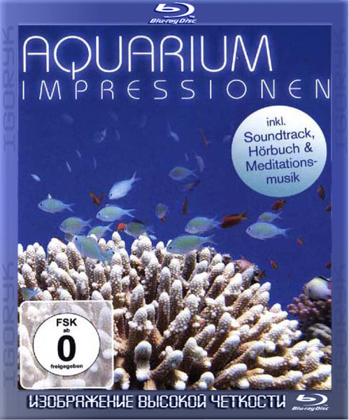 Aquarium Impressionen (2010) BDRip