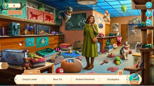 Home for Friends: Beloved Pets Collector's Edition