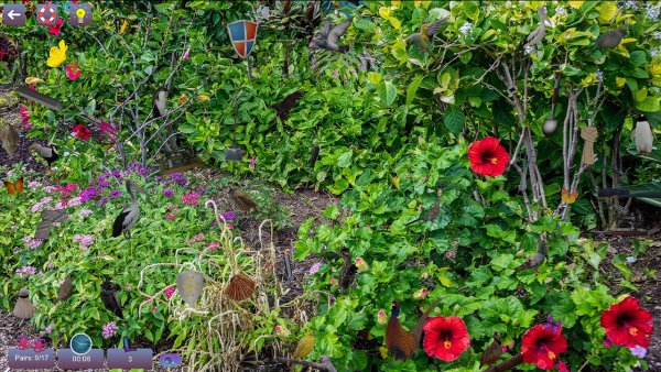 Hidden Pairs 3: Lovely Birds