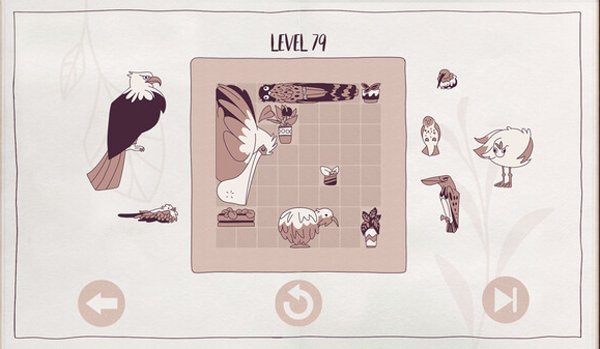 Birds: Organized Neatly