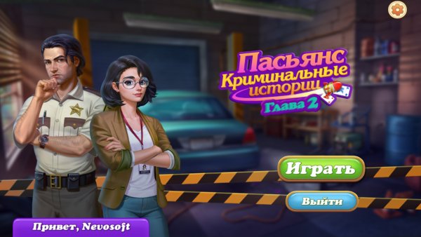 Пасьянс. Криминальные истории. Глава 2