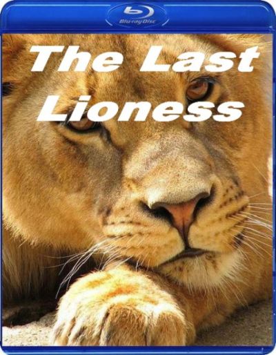The.Last.Lioness