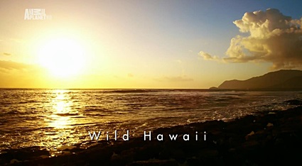 Невиданные Гавайи