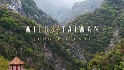 Дикая природа Тайваня: Остров джунглей