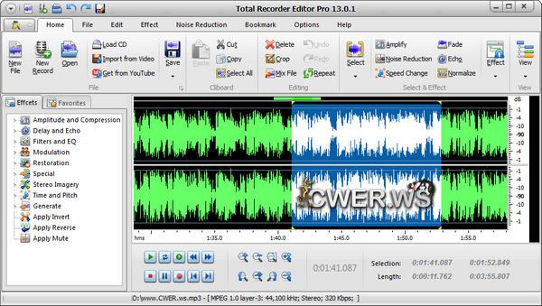 Total Recorder Editor Pro 13