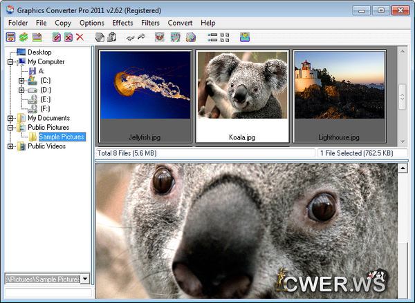 Graphics Converter Pro 2011 2
