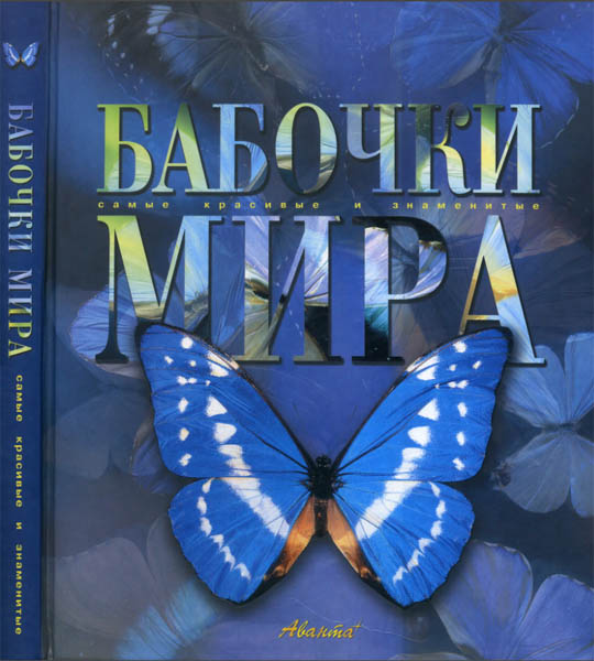 Л.В. Каабак, А.В. Сочивко. Бабочки мира