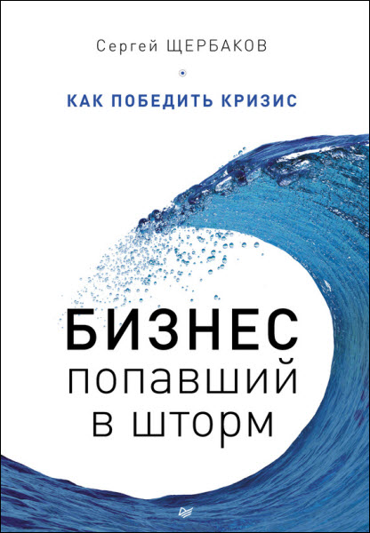 Сергей Щербаков. Бизнес, попавший в шторм. Как победить кризис