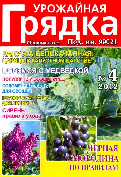 Урожайная грядка №4 (апрель 2012)